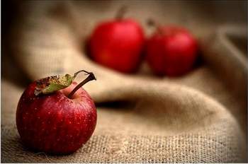 شبنم سحرگاهی